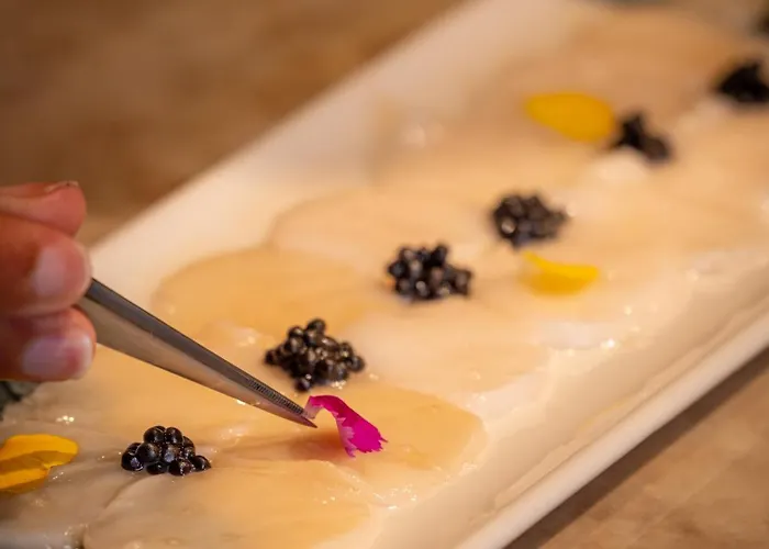 Firstname 4* トゥールーズ